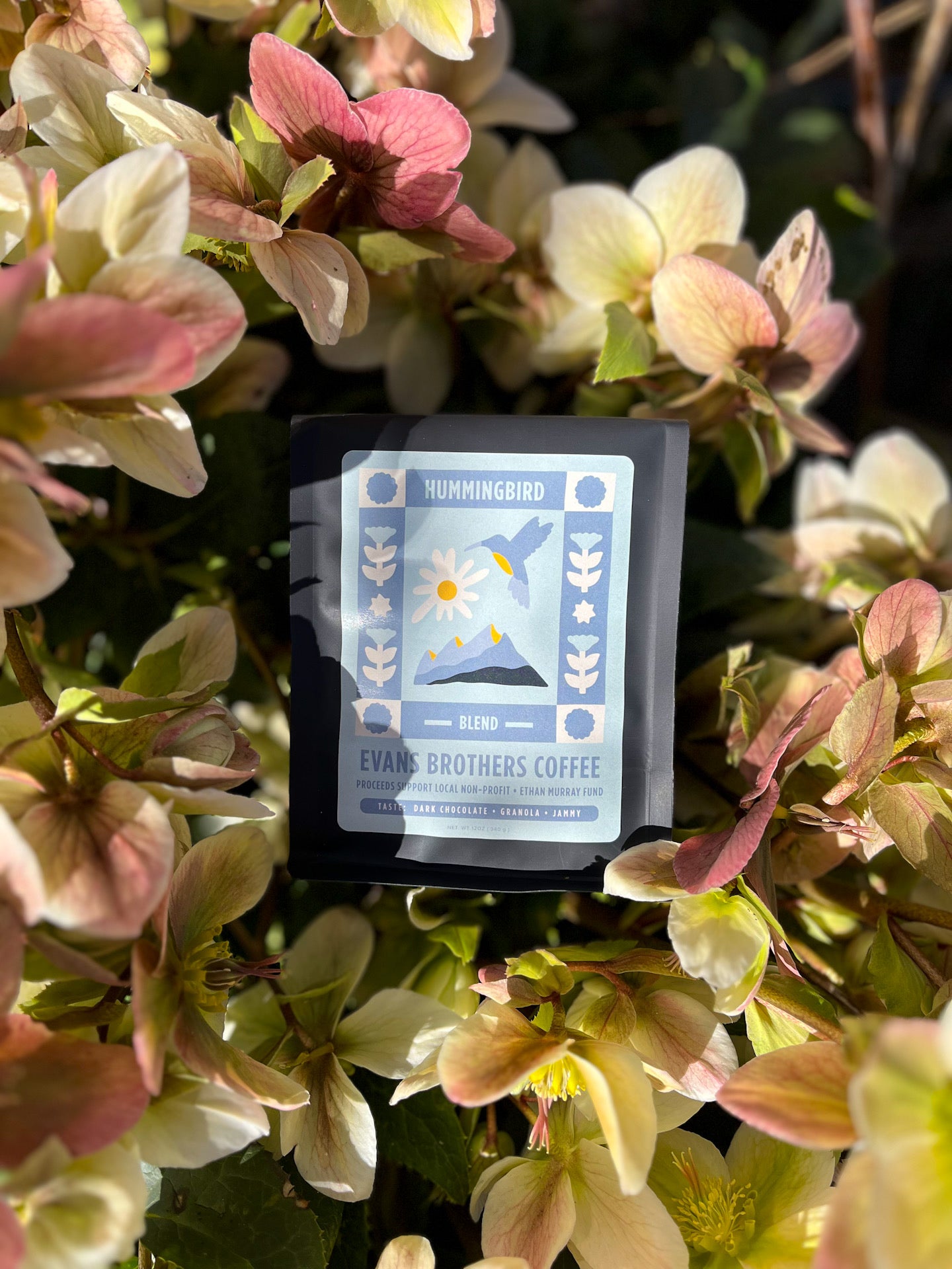 Hummingbird Blend ⬩ Non Profit Fundraiser