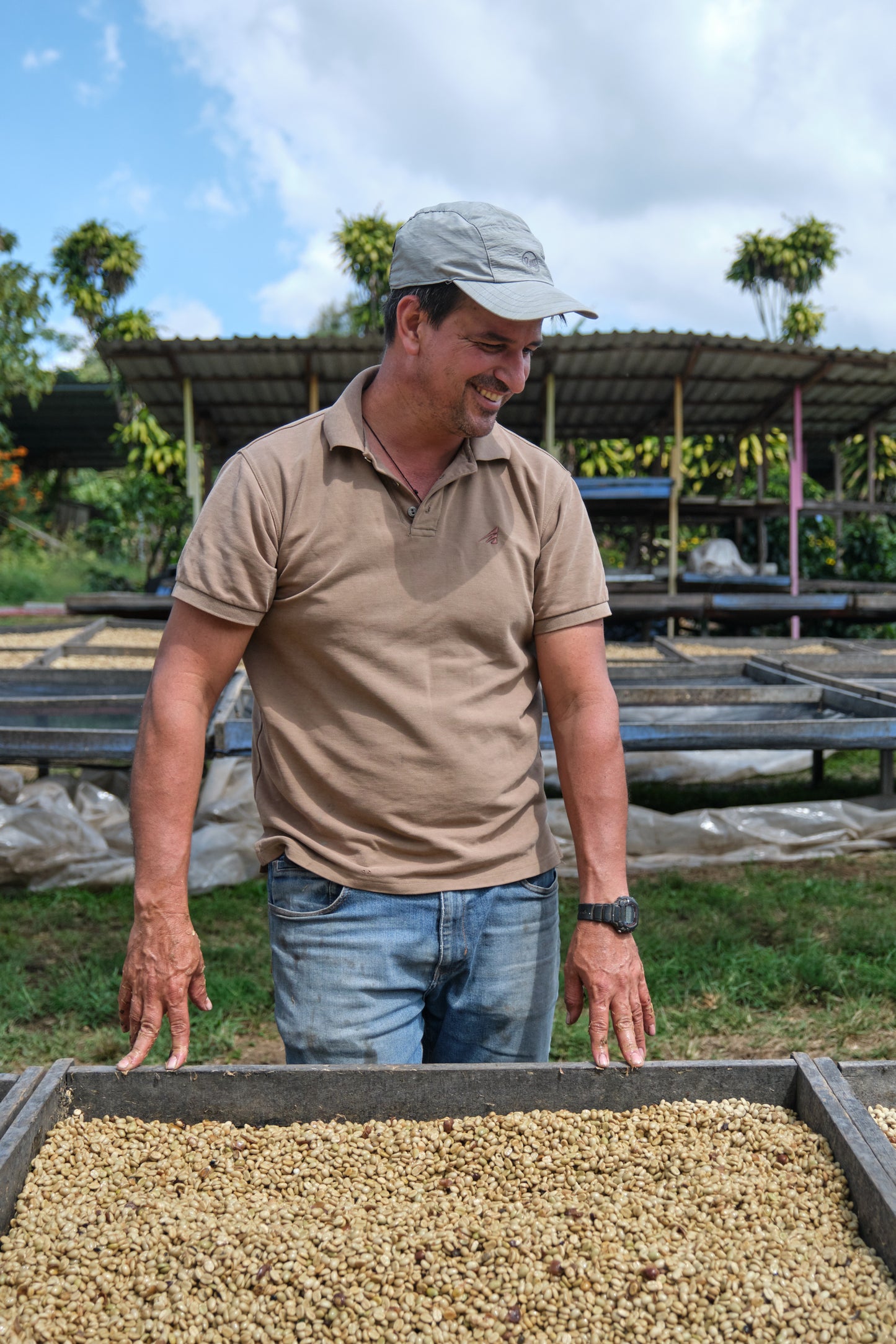 Costa Rica Yellow Honey