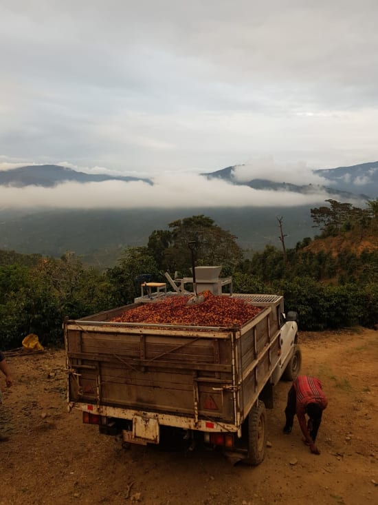 Costa Rica Anaerobic Natural