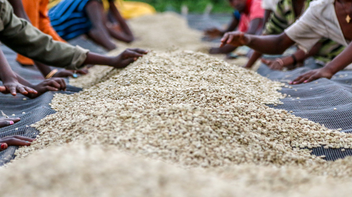 Ethiopia Kayon Mountain Natural