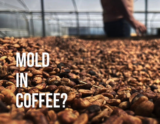 The Question Of Mold In Coffee
