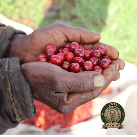 Kenya Kagumo Finalist Award & 95 Point Coffee Review