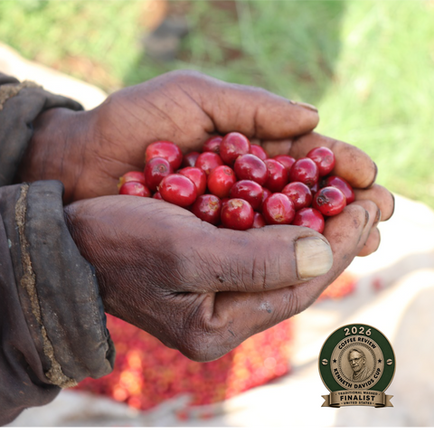Kenya Kagumo Finalist Award & 95 Point Coffee Review