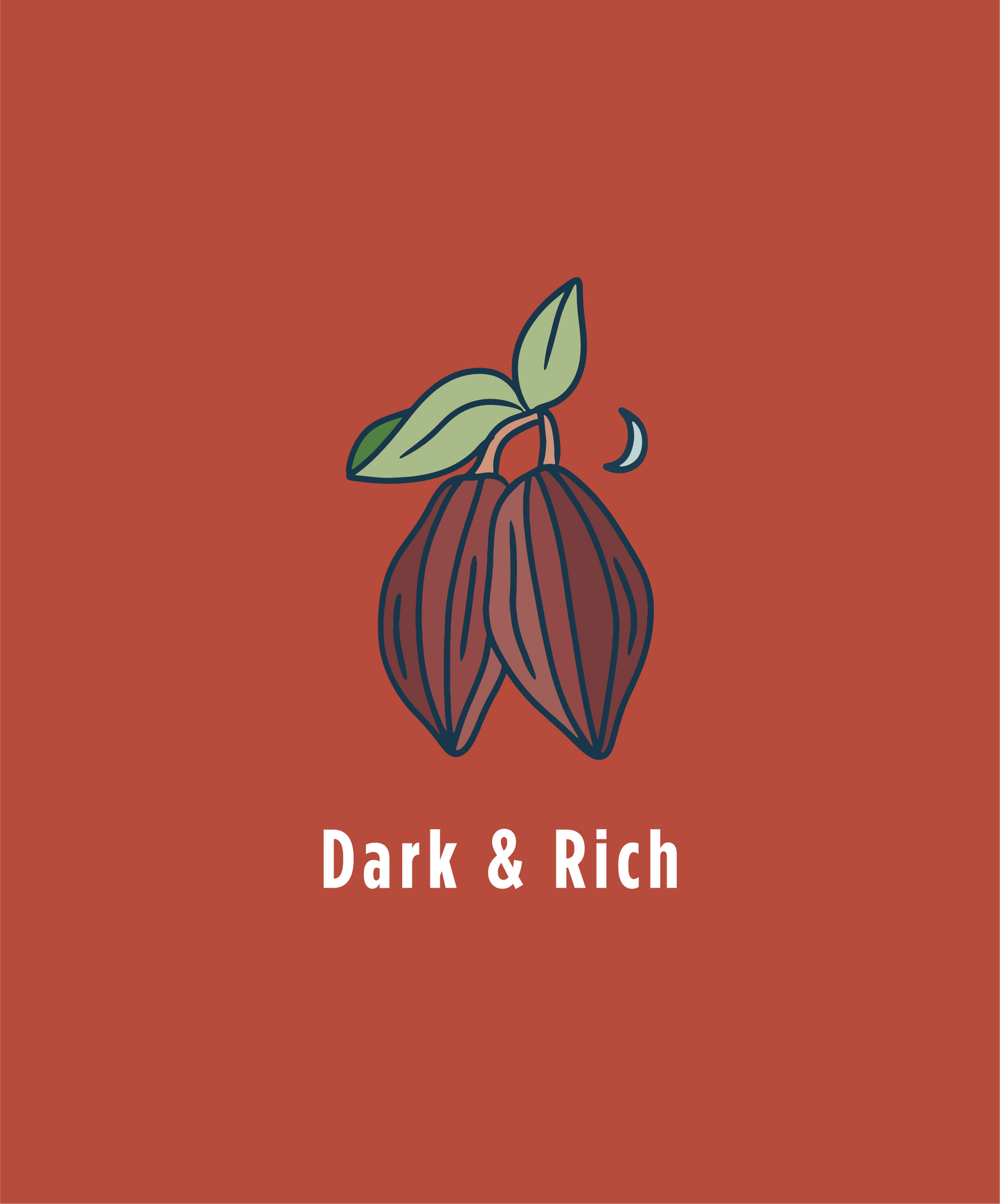 Rich & Dark 3 Pack