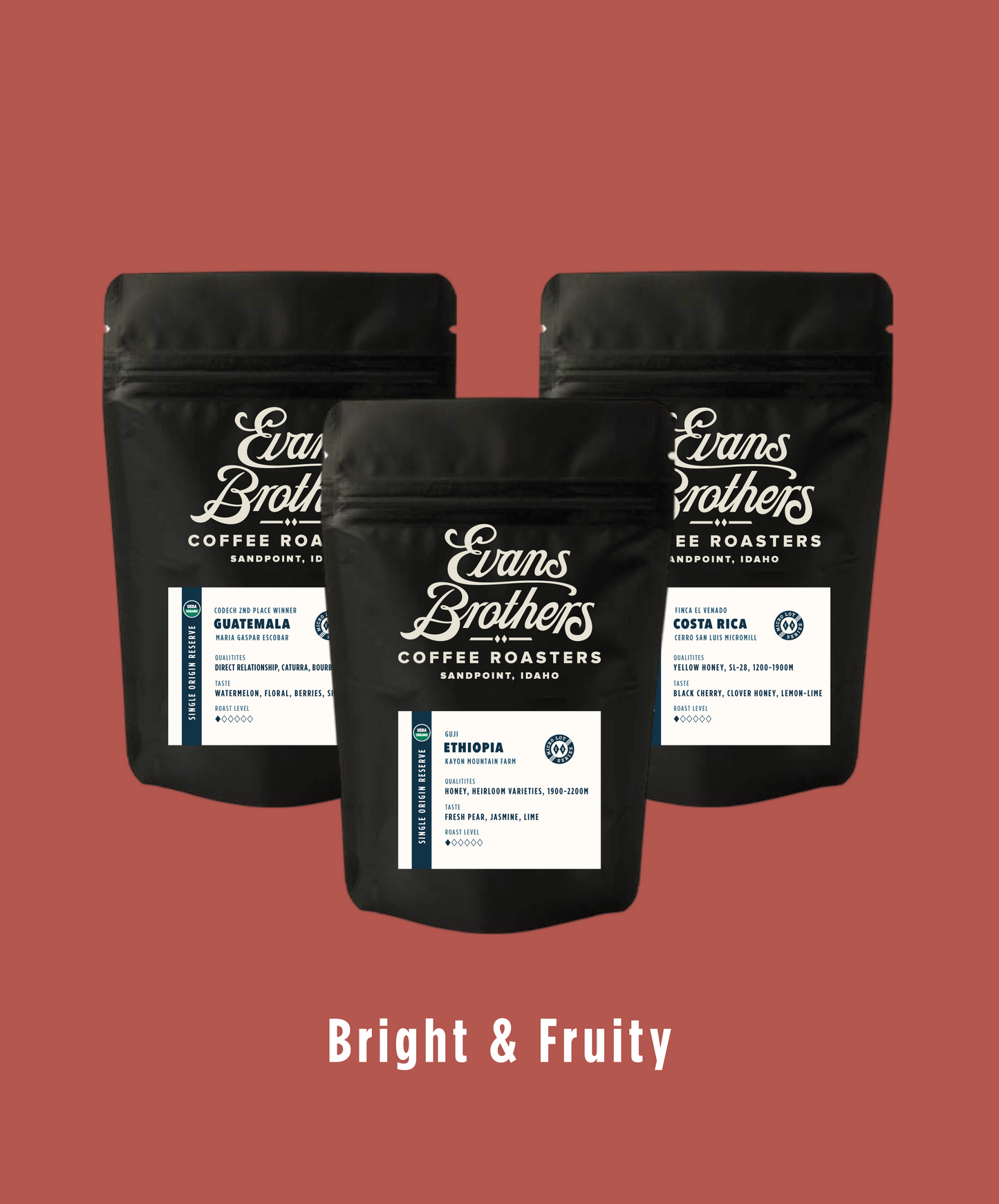 Bright & Fruity 3 Pack