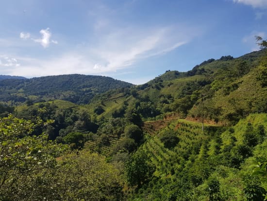 Costa Rica Anaerobic Natural