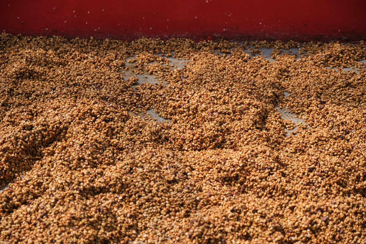 Costa Rica Las Lajas Micromill