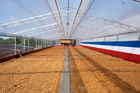 Costa Rica Black Diamond Natural