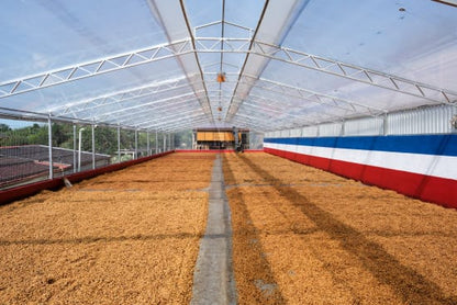 Costa Rica Black Diamond Natural