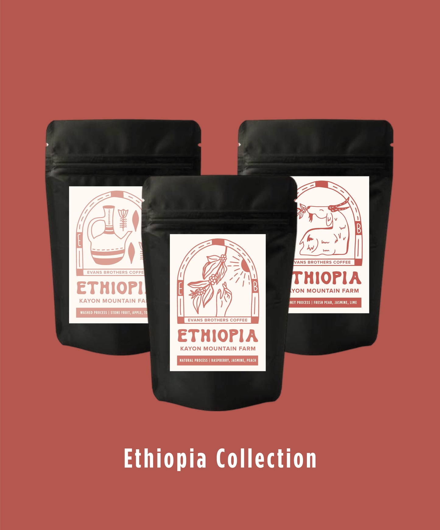 Ethiopia Collection