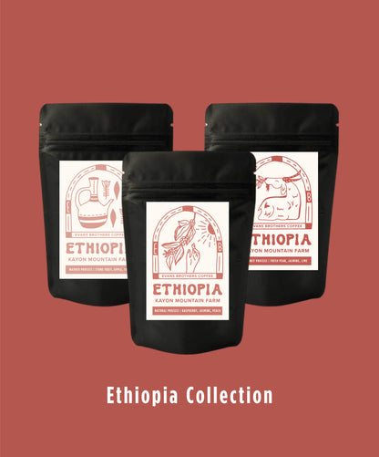 Ethiopia Collection
