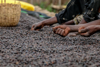 Ethiopia Kayon Mountain