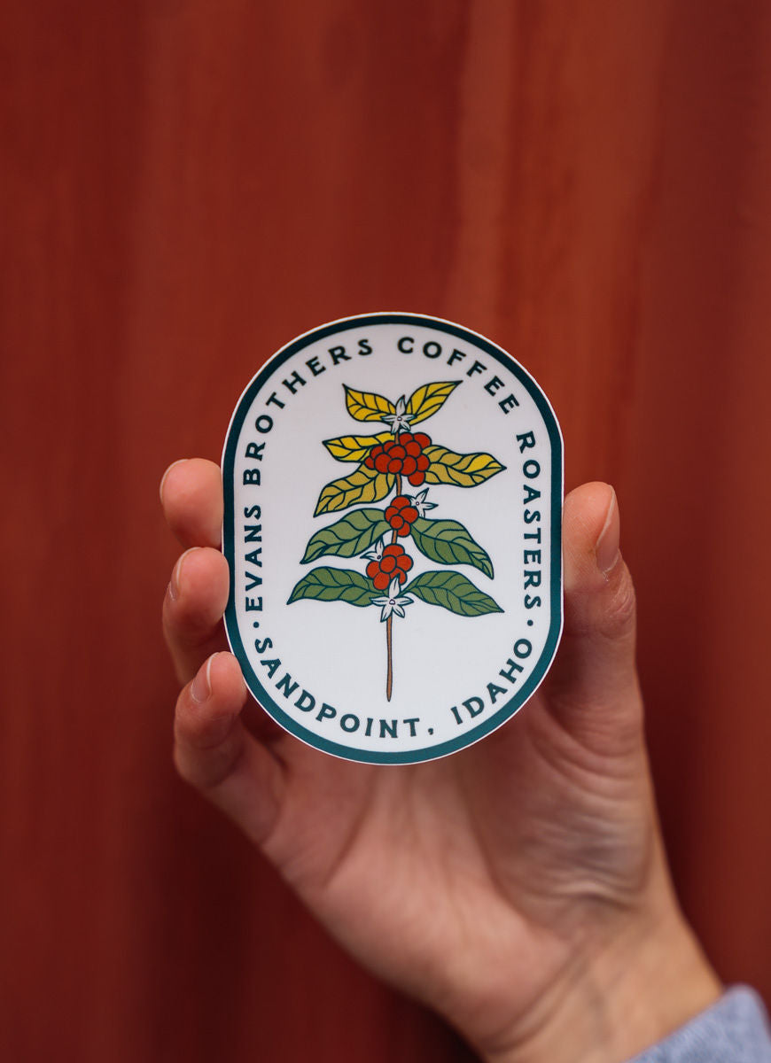 Coffee Plant Sticker